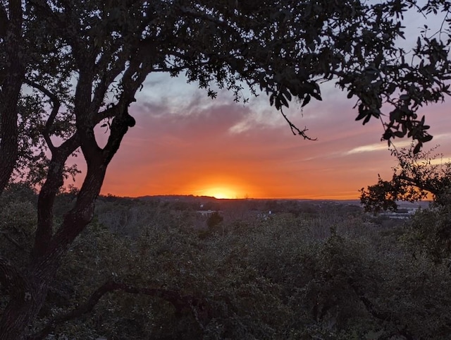 view of nature at dusk