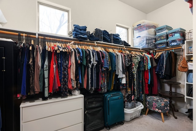 walk in closet with carpet flooring