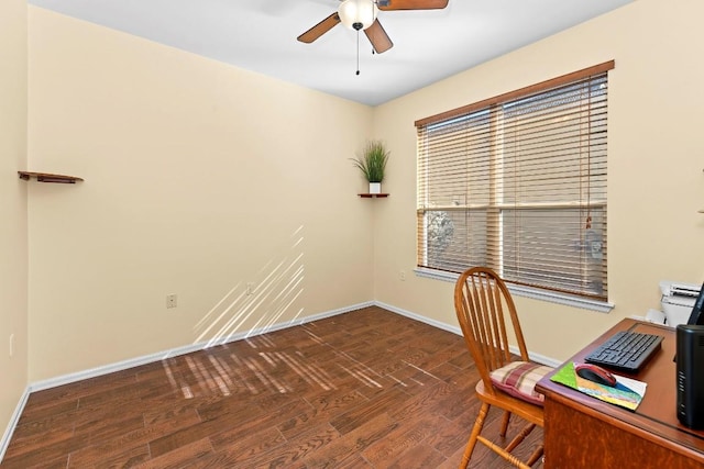 office featuring ceiling fan and dark hardwood / wood-style flooring