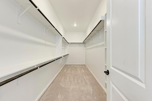 spacious closet featuring light carpet