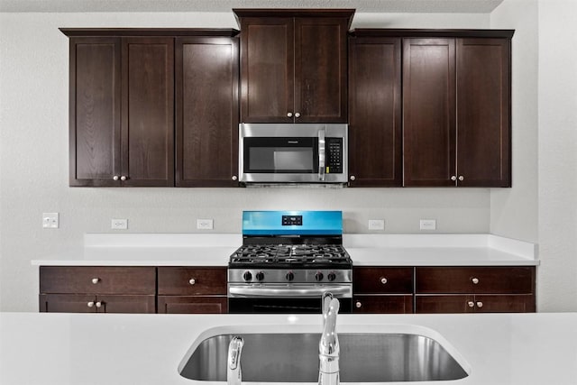 kitchen with dark brown cabinetry and stainless steel appliances