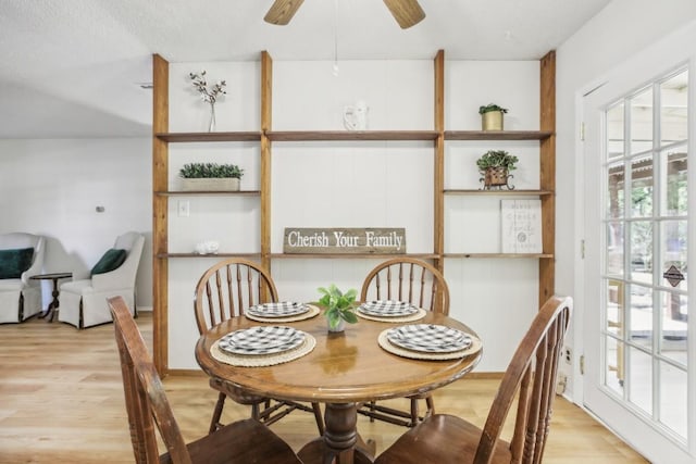 dining area with ceiling fan and light hardwood / wood-style flooring