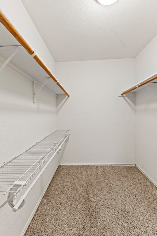 spacious closet featuring carpet floors