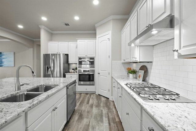 259 N Sage Holw, Dripping Springs, TX 78620 - kitchen featuring stainless steel appliances, under cabinet range hood, a sink, ornamental molding, and white cabinetry