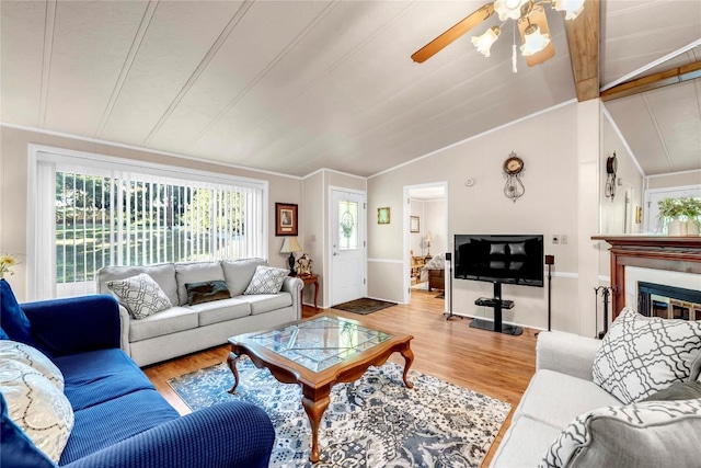 living room with ceiling fan, lofted ceiling, and wood-type flooring