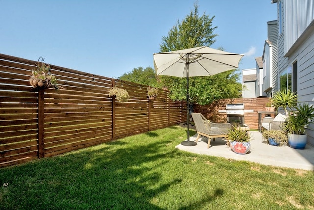 view of yard featuring a patio and a fenced backyard