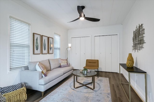 living room with ceiling fan and dark hardwood / wood-style floors