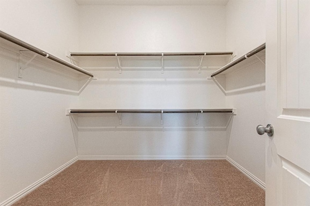 spacious closet with carpet flooring