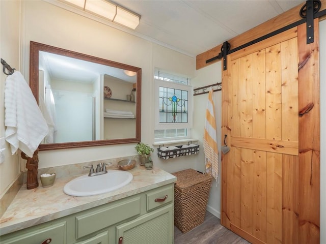 bathroom featuring vanity and wood-type flooring