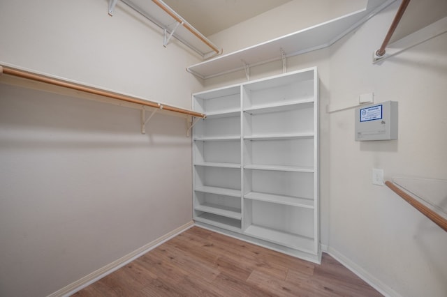 spacious closet with light wood-type flooring