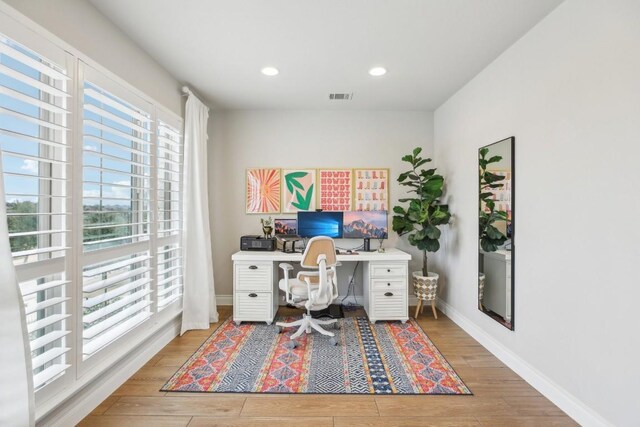 office featuring wood-type flooring