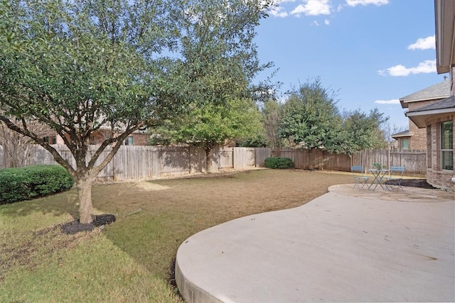 view of yard featuring a patio area