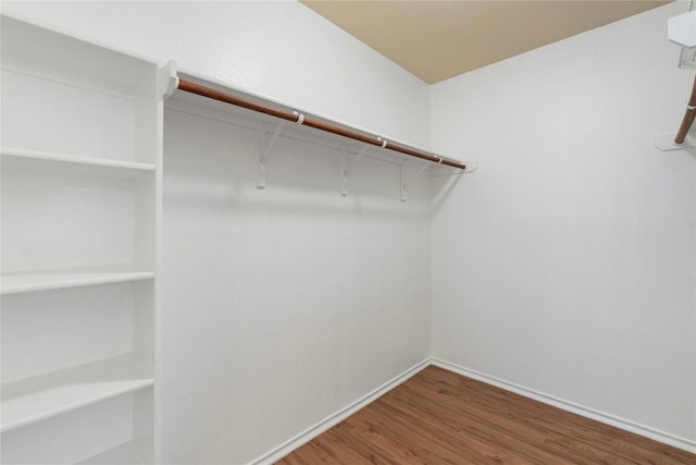 walk in closet with hardwood / wood-style flooring