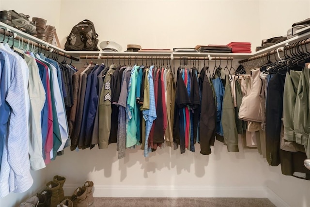 spacious closet featuring carpet floors