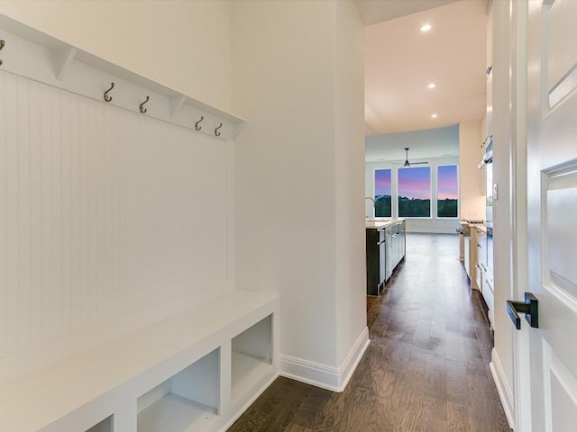 mudroom featuring dark hardwood / wood-style floors