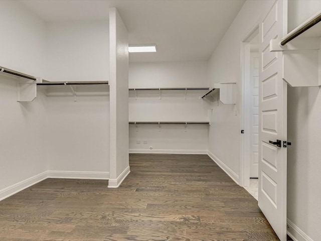 walk in closet with dark hardwood / wood-style floors