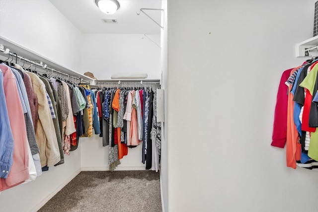 spacious closet featuring carpet