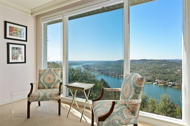 living area featuring crown molding, a water view, and carpet