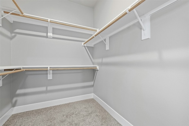 walk in closet featuring carpet floors