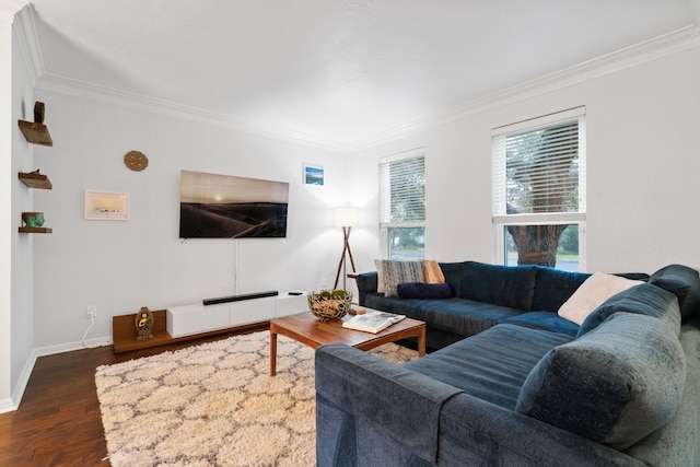 living room with dark hardwood / wood-style flooring and ornamental molding