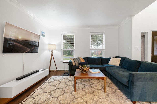 living room with ornamental molding and dark hardwood / wood-style floors