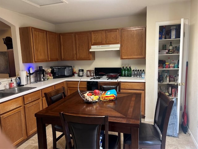 kitchen featuring gas range and sink