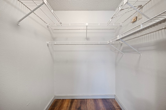 spacious closet featuring dark hardwood / wood-style flooring