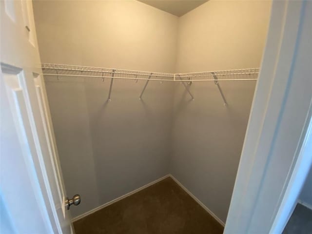 spacious closet with carpet flooring