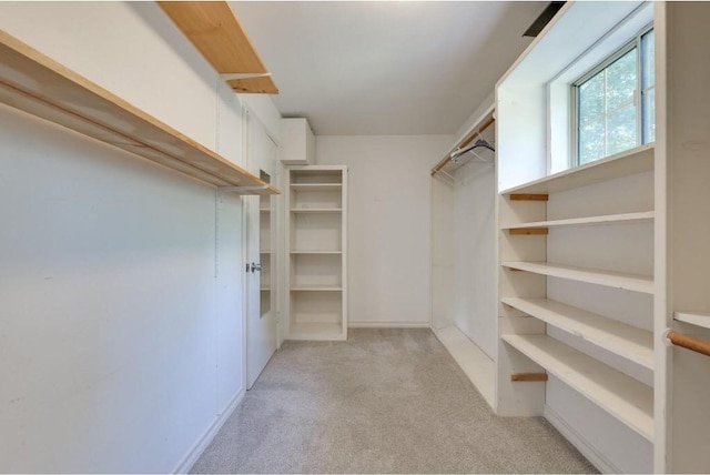 walk in closet with light carpet