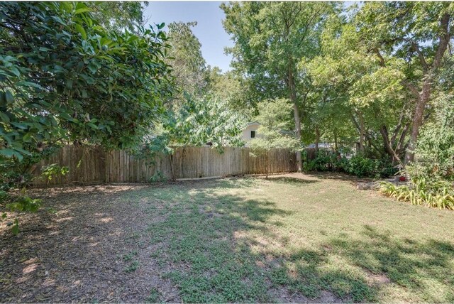 1405 Brentwood St, Austin, TX 78757 - view of yard