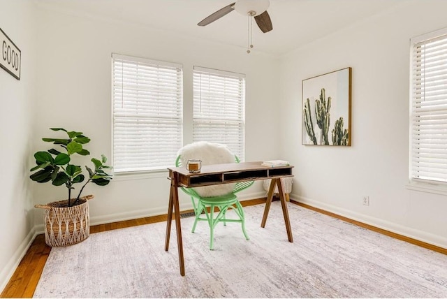 office featuring light hardwood / wood-style floors and ceiling fan