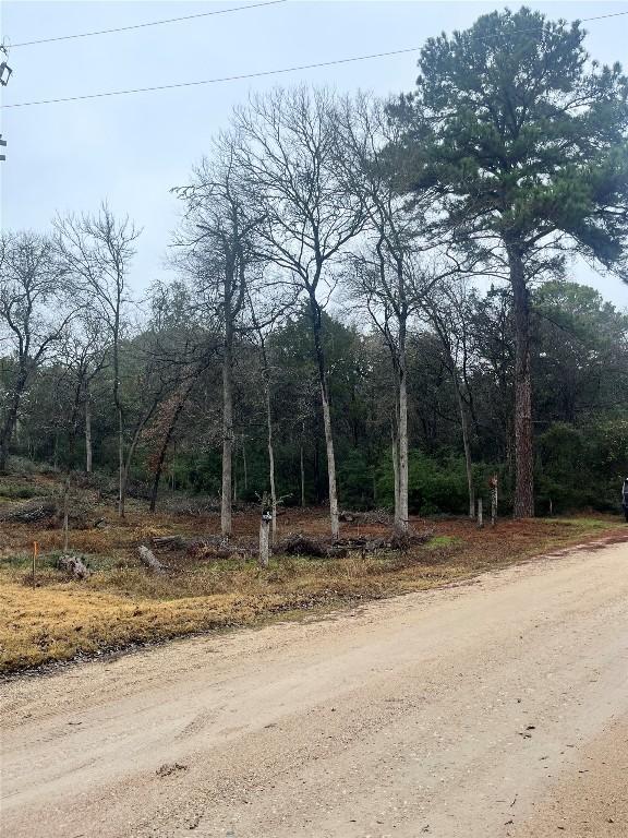 122 Helemano Dr, Bastrop, TX 78602