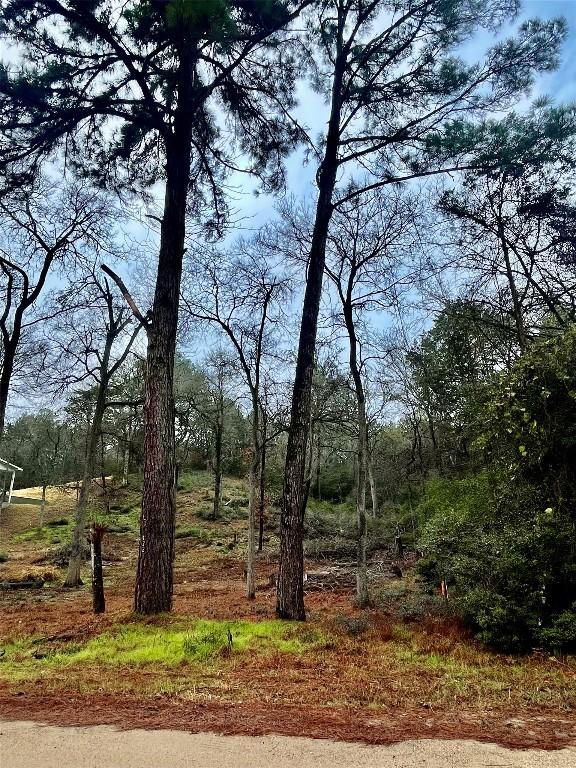 122 Helemano Dr, Bastrop, TX 78602