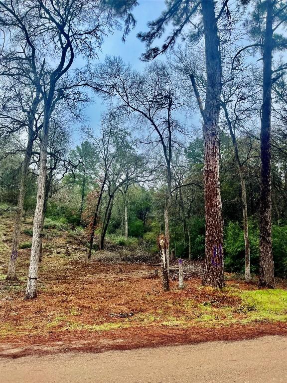 122 Helemano Dr, Bastrop, TX 78602