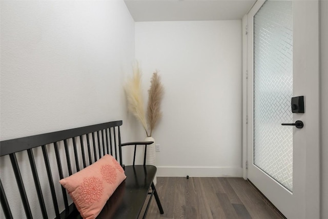 sitting room featuring dark wood-type flooring