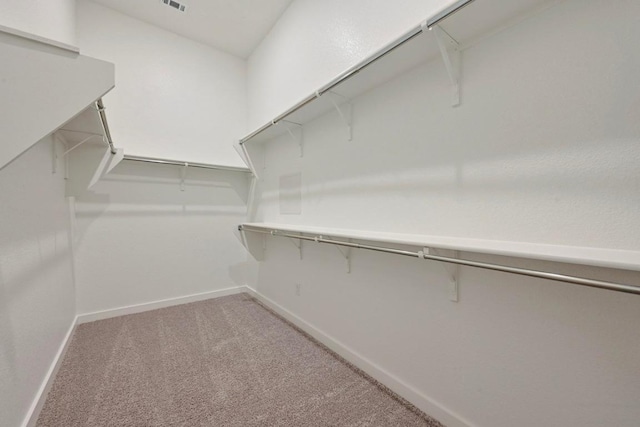 586 Biscayne Bay Bnd, Kyle, TX 78640 - spacious closet featuring light carpet