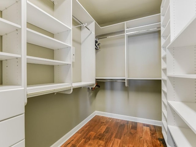 walk in closet featuring dark wood-type flooring