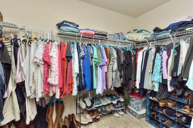 spacious closet with carpet floors