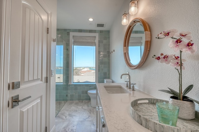 bathroom featuring walk in shower, vanity, and toilet