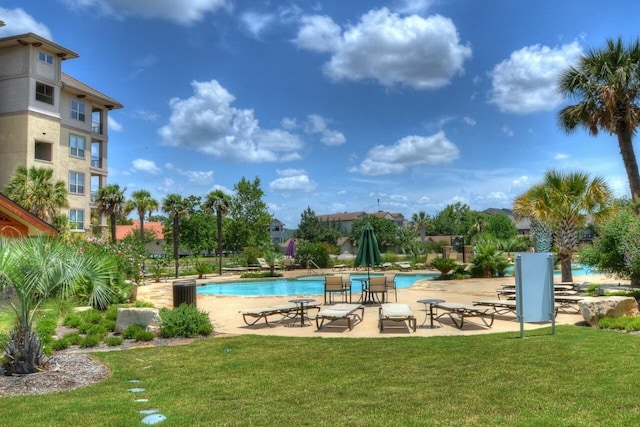 view of pool with a patio and a lawn