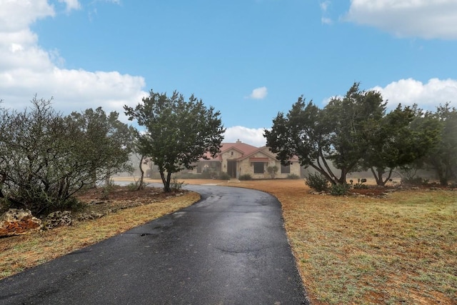 view of road with driveway