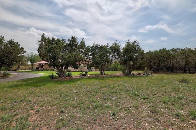 20201 Rancho Cielo Ct, Lago Vista, TX 78645 - photo 5