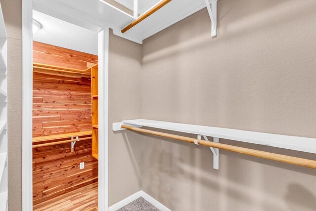 205 Errol Dr, Spicewood, TX 78669 - view of spacious closet