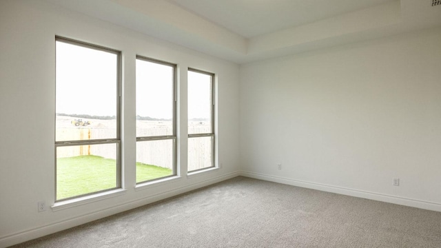 220 La Venta Loop, Liberty Hill, TX 78642 - spare room with healthy amount of natural light and carpet floors