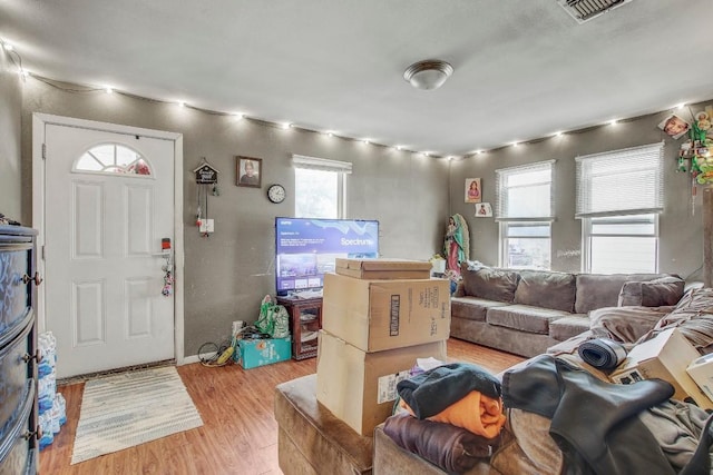 living room featuring light wood-type flooring