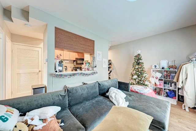 living room featuring light hardwood / wood-style floors