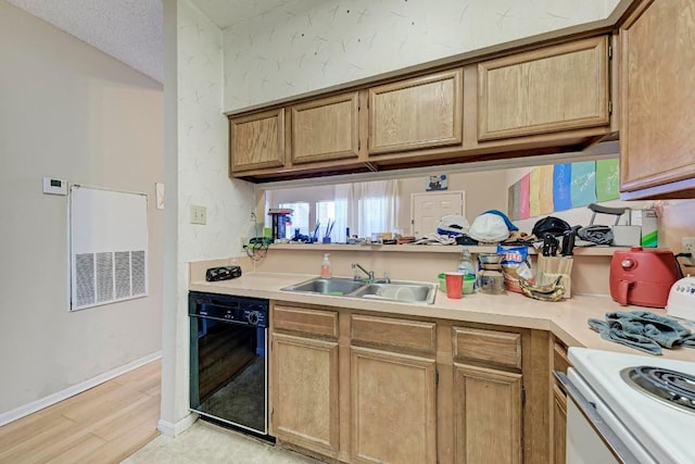 kitchen featuring black dishwasher, sink, and electric range