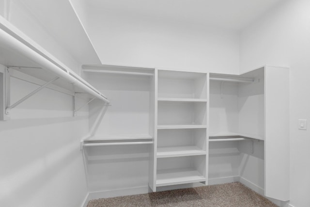 spacious closet featuring carpet flooring