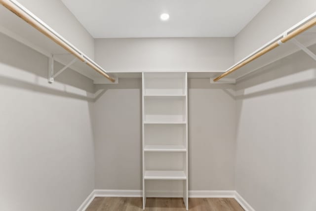 spacious closet with wood-type flooring