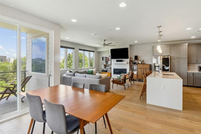 dining area with sink, light hardwood / wood-style floors, and ceiling fan